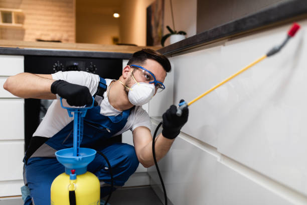 Trusted Merrillville, IN Pest Control Experts