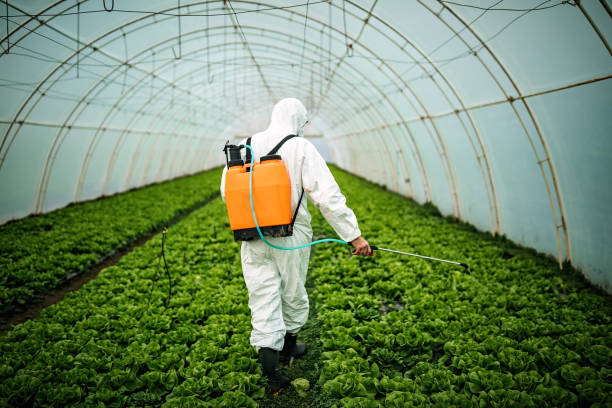 Best Mosquito Control Services  in Merrillville, IN