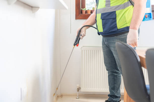 Wasp Removal Services in Merrillville, IN
