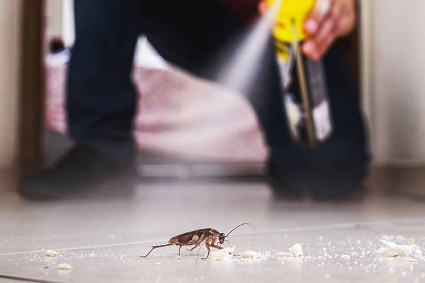 Best Pest Removal Services  in Merrillville, IN
